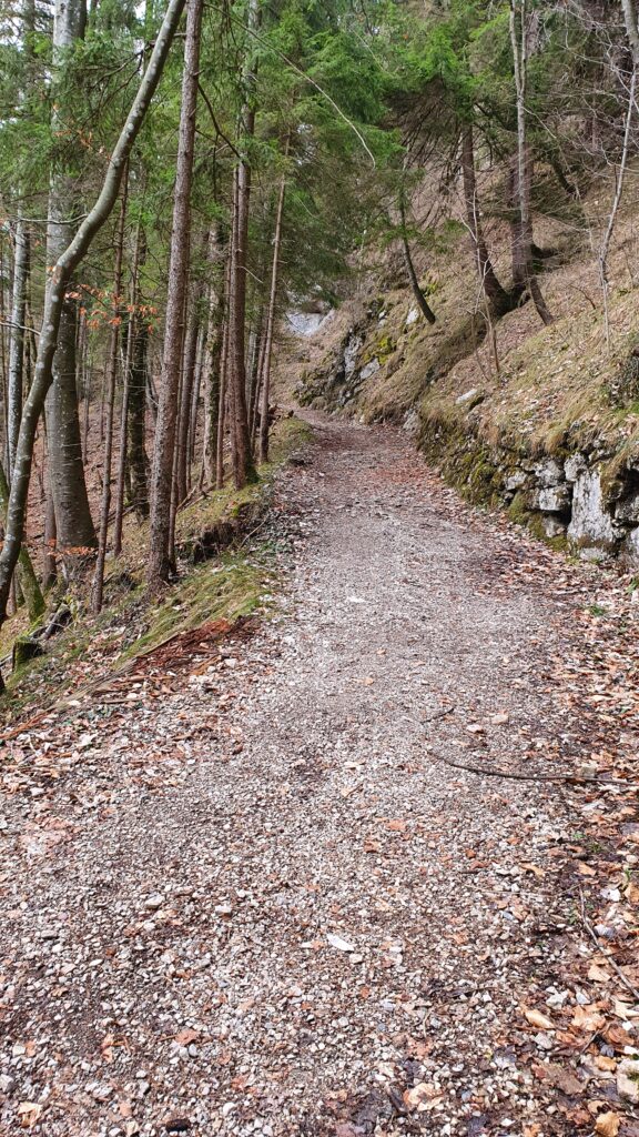 komfortabler Wanderweg zum Windeck